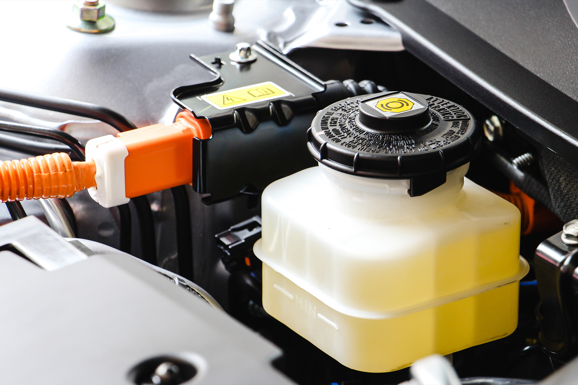 brake-fluid-service