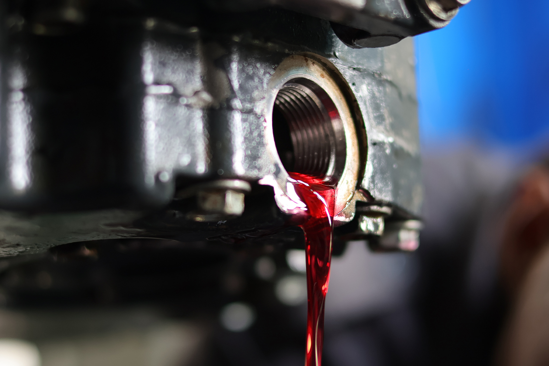 transmission-fluid-service